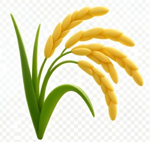 Agricultural Irrigation Wells